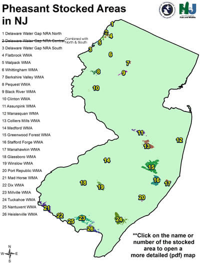 New Jersey - The Bird Hunting Society